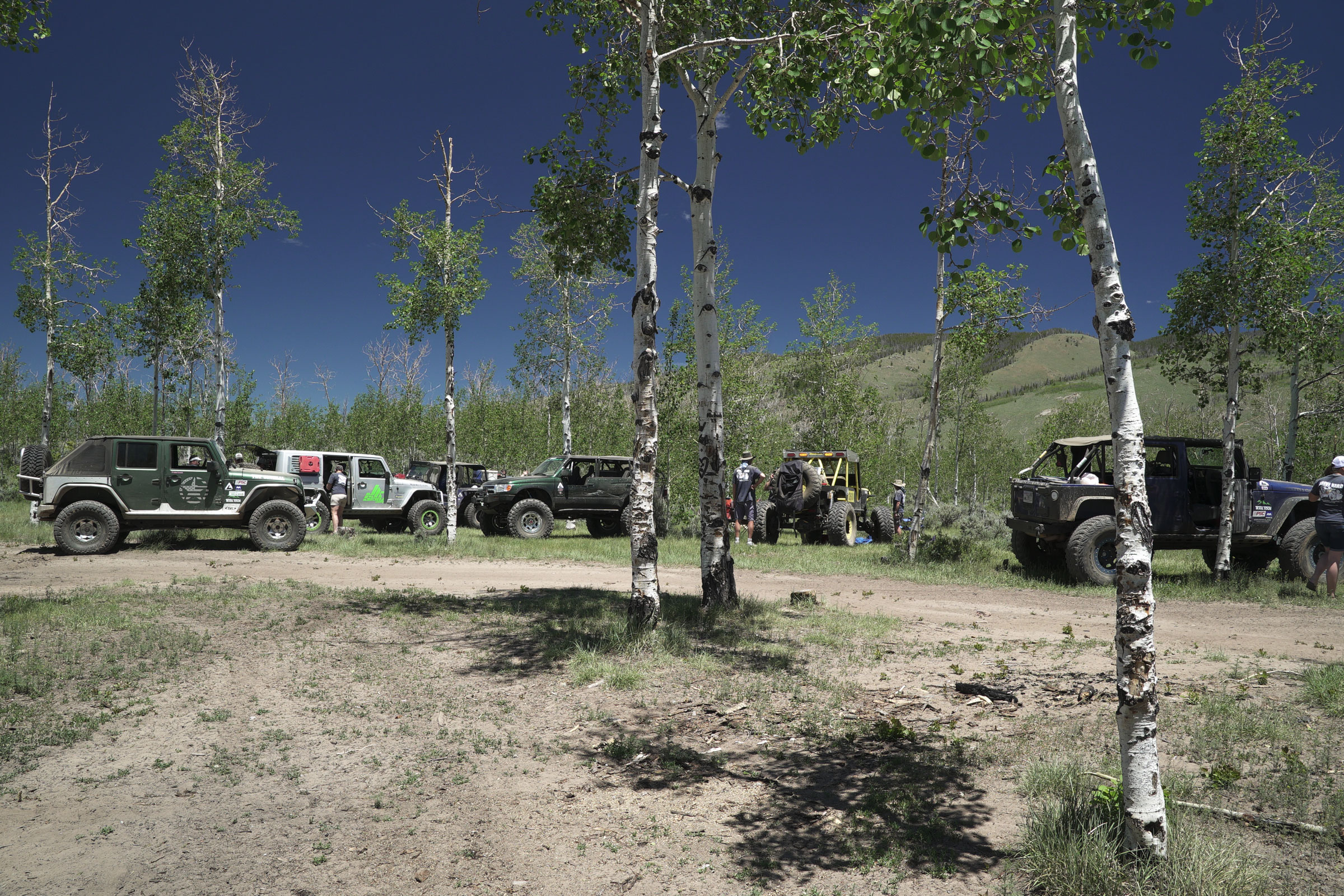 Jeeps at camp at the edge of the woods