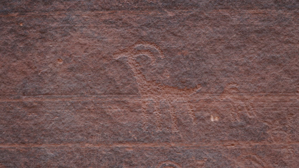 Wire Pass petroglyph