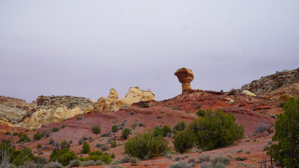 Rock formations in the desert
