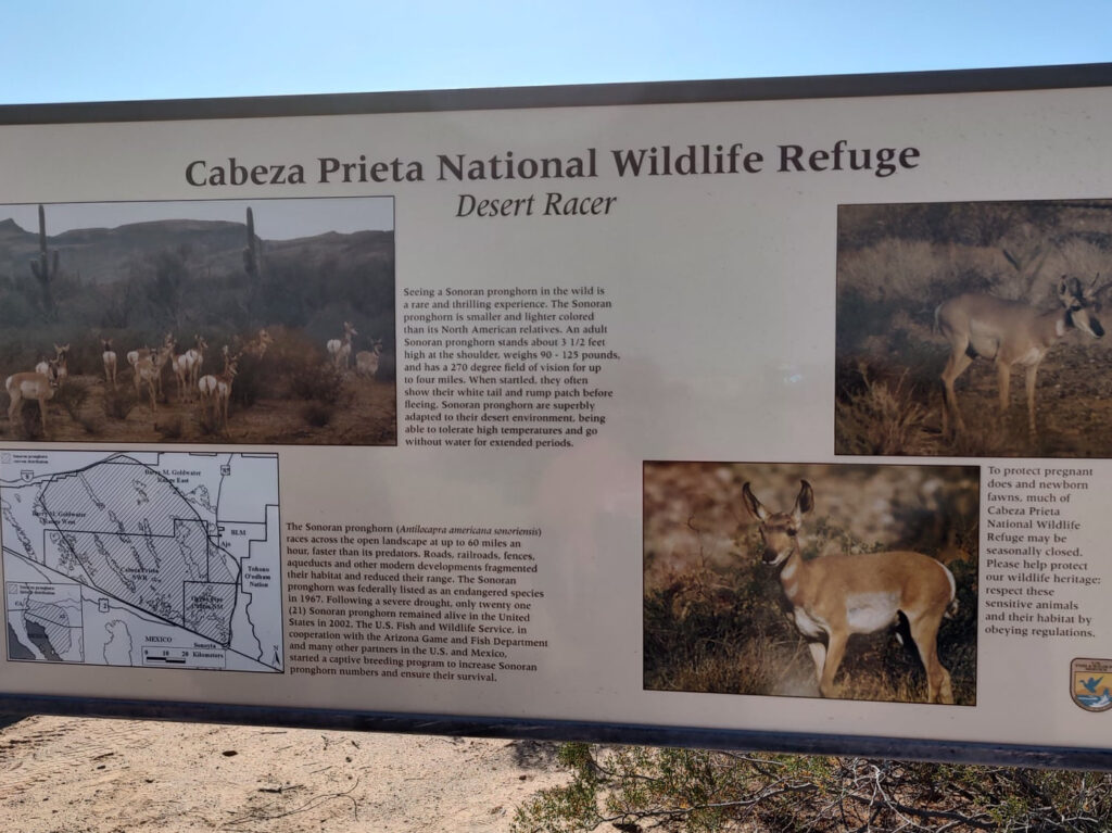 A sign in the Cabeza Prieta National Wildlife Refuge