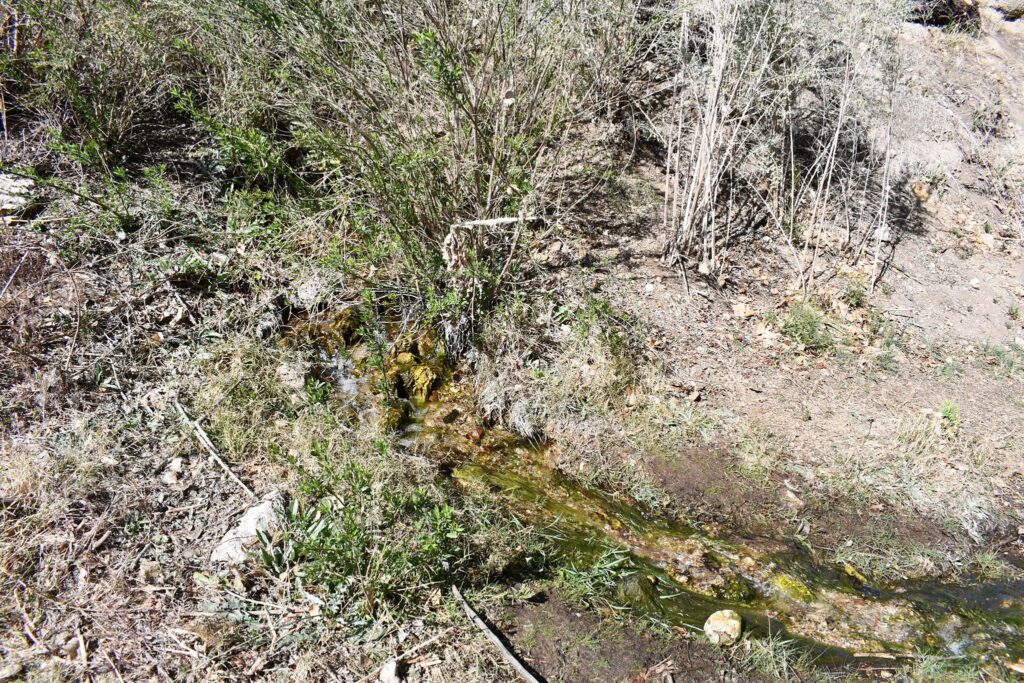 The spring at Tassi Ranch where it comes out of the ground.