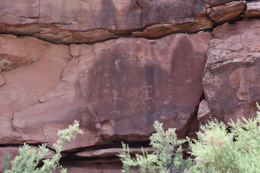 Some of the petroglyphs in Montezuma Canyon