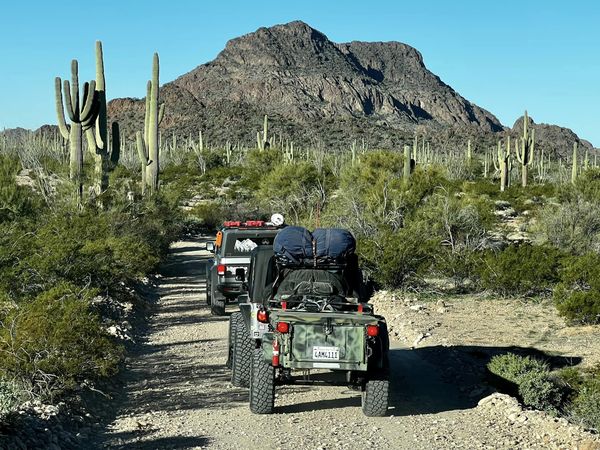 Driving through Organ Pipe Cactus National Monument