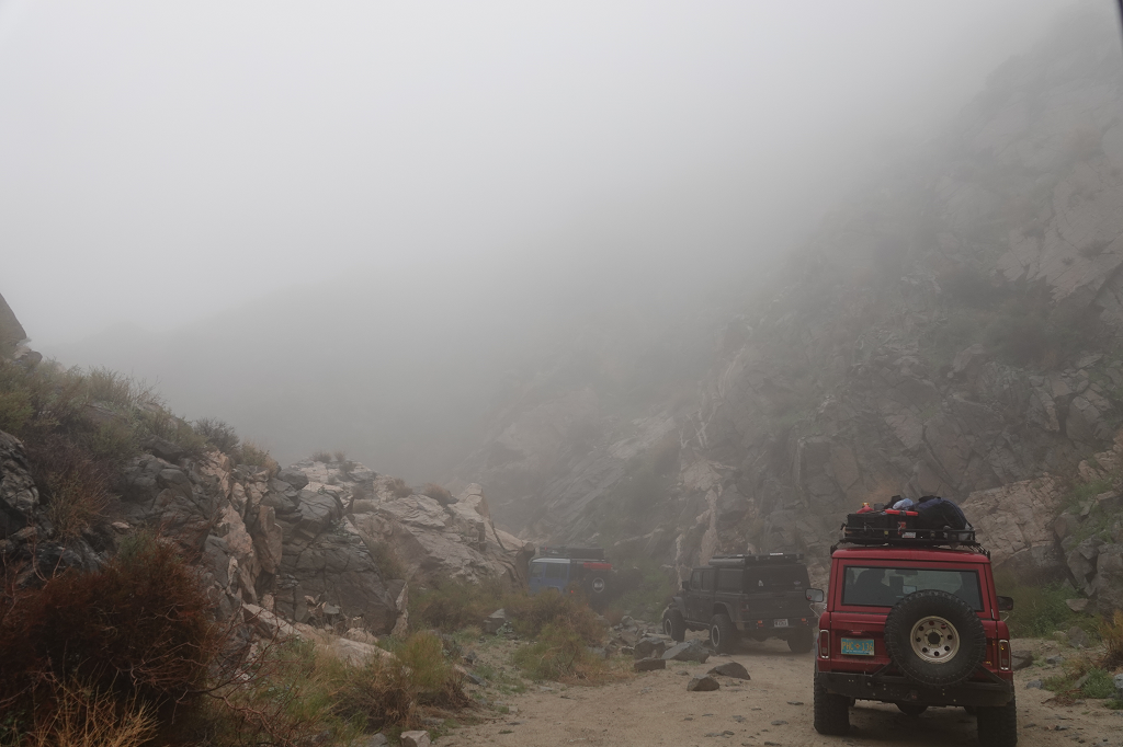 4x4s in the mist